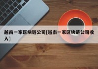 越南一家区块链公司[越南一家区块链公司收入]